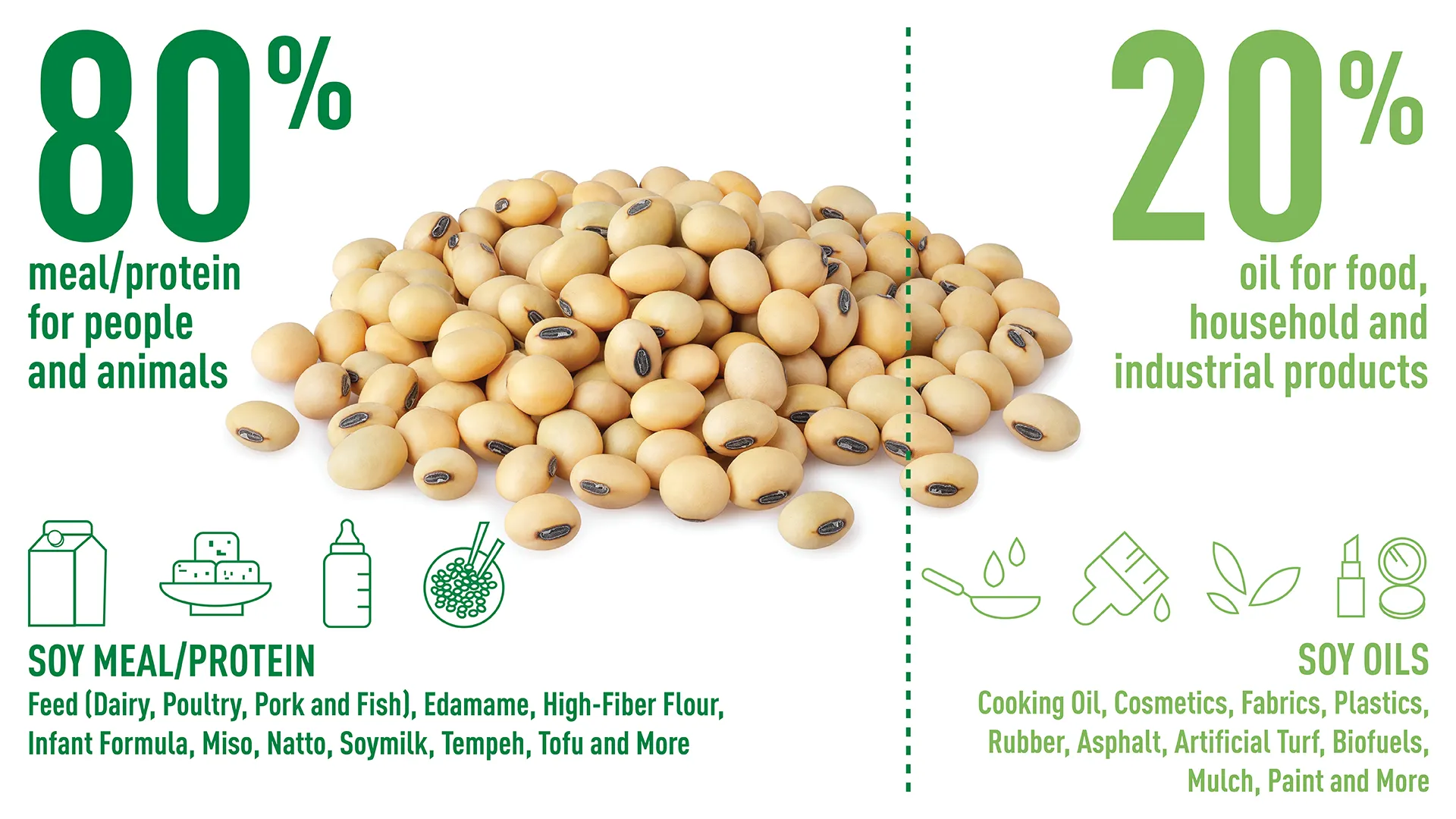Infographic of a split soybean showing its uses: 20% becomes soy oil for food and industrial products, and 80% becomes soy meal and protein for people and animals.